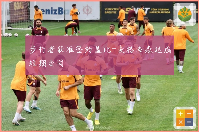 步行者获准签约盖比-麦格洛森达成短期合同