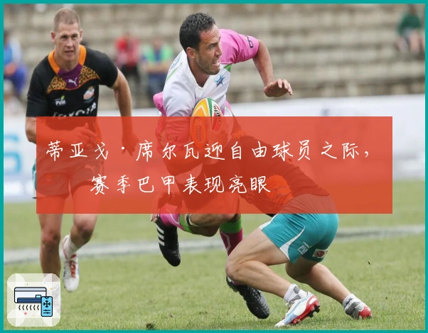 蒂亚戈·席尔瓦迎自由球员之际，本赛季巴甲表现亮眼